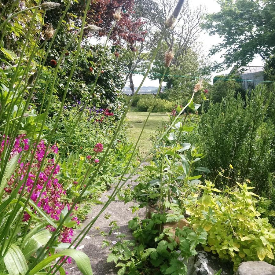 Vila Unique Townhouse With Large Garden Down To The Sea Killough Exteriér fotografie